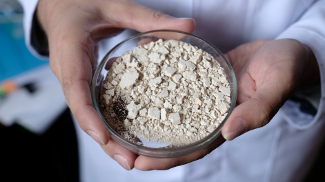 На смену импортным добавкам: создан конкурентоспособный полимер из лиственницы с антиоксидантными свойствами