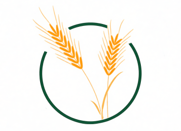 Лаборатория селекции озимой ржи