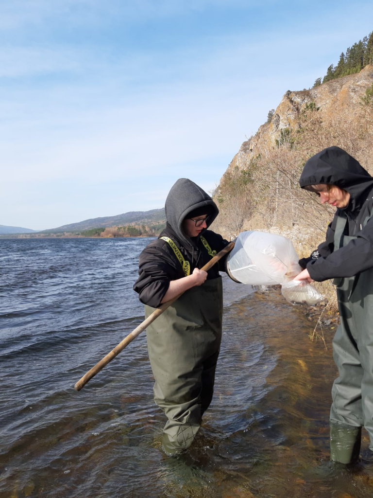 2_Биомониторинг техногенных радионуклидов в Енисее.jpg